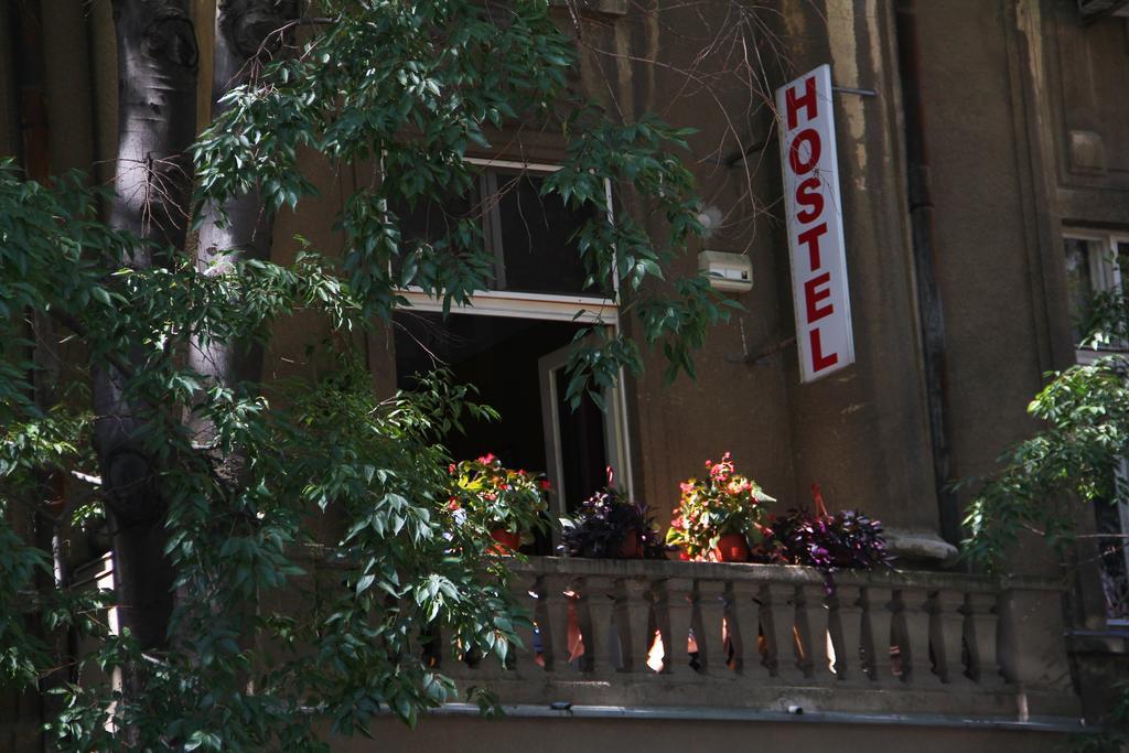 Hostel Sova نوفي ساد المظهر الخارجي الصورة