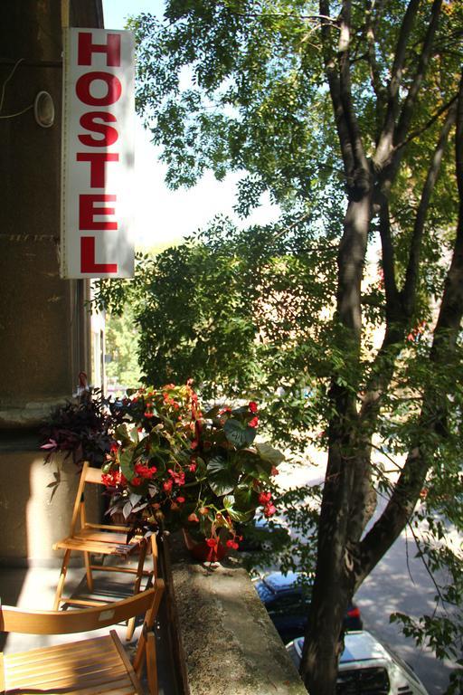 Hostel Sova نوفي ساد المظهر الخارجي الصورة